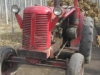 David Brown 50 D tractor found in Argentina